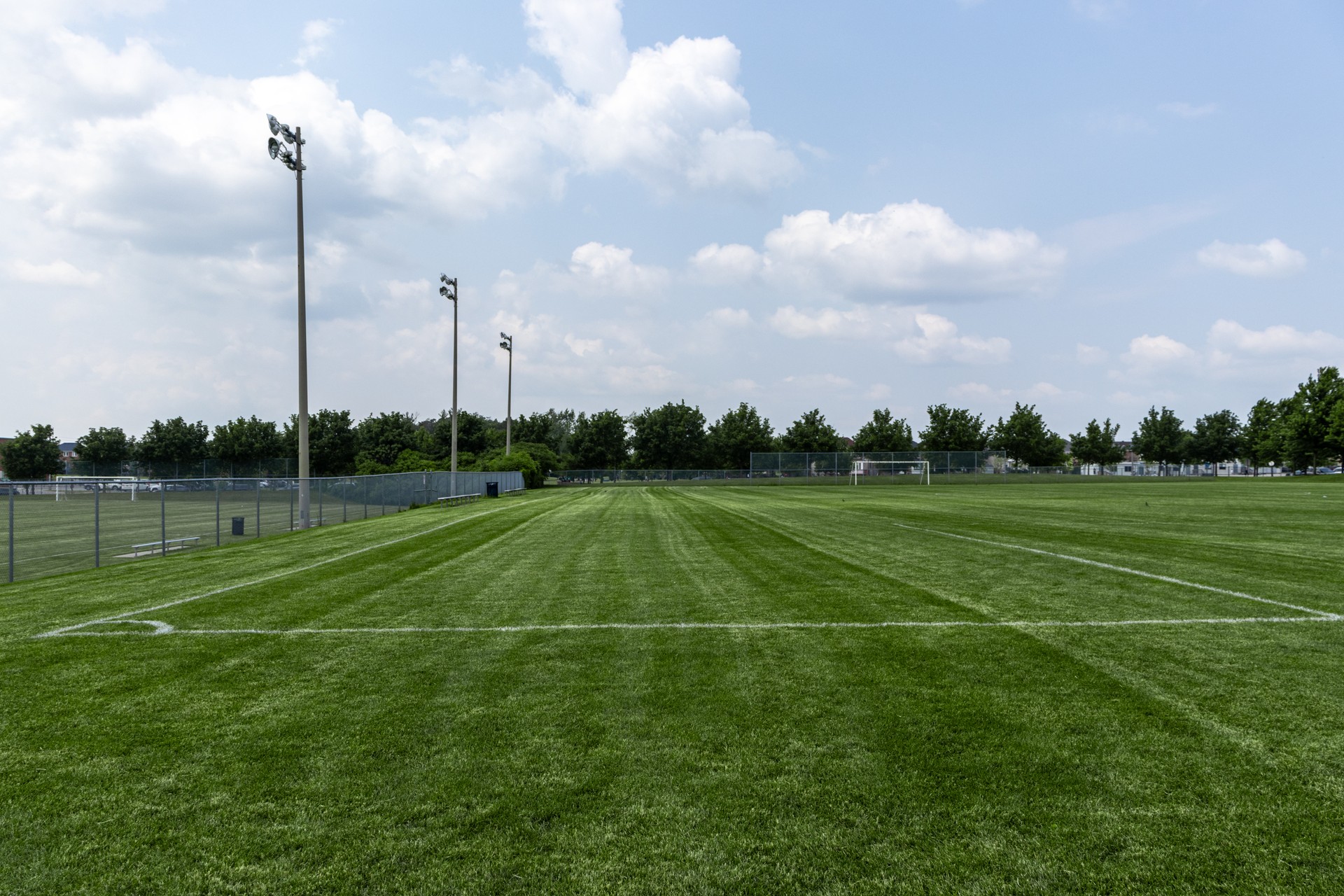 Empty soccer field with blue sky - trees in background